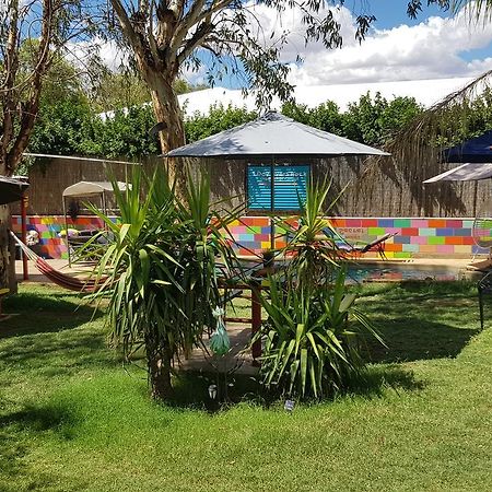 Alice'S Secret Travellers Inn Alice Springs Exterior photo